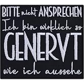 Funny iron-on patch Bitte nicht ansprechen - Ich bin wirklich so annoyed wie ich aussehe humour iron-on / iron-on transfers gift for colleague/girlfriend 90 x 80 mm
