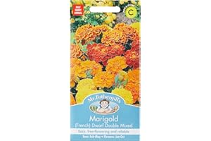 Mr Fothergills 20162 Flower Seeds, Marigold (French) Dwarf Double Mixed