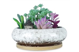 ARTKETTY Succulent Plant Pot, 18.5CM Large Bonsai Pot with Tray Ceramic Succulent Pot with Drainage Hole Shallow Cactus Flower Pots for Indoor/Outdoor Plants Glazed Planter Bowl, White