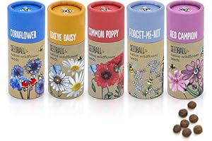 SEEDBALL Wildflower Seed Bombs (Set of 5, 20 Balls Per Tube) | Bee Friendly British Wild Flower Seeds - Poppy, Cornflower, Oxeye Daisy, Red Campion & Forget-Me-Not for Garden Wildlife - Gardening Gift