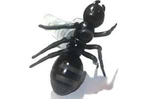 ALLCACHEDUP Sneaky Big Ant Geocache Nano Tube Container Logged & Ready to Hide Waterproof