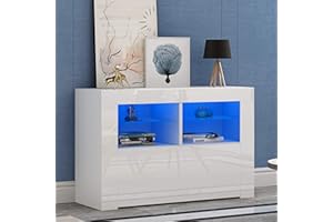 Panana 100cm Modern TV Unit Led Lights Cabinet Stand Matt & High Gloss Entertainment Center for Living Room (White Matt Body & White High Gloss Fronts)