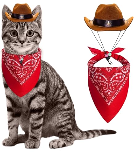 Cowboy-Kostüm Für Haustiere – Rosa Cowboyhut Mit Sonnenbrille Aus EVA – Für Hunde & Katzen Zu Halloween, Weihnachten & Partys