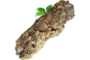 Kork-Deko Ecorce de liège I Aquarium Terrarium Décoration I Taille XL 50x20 cm | Nettoyé et désinfecté