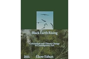 Black Earth Rising: Colonialism and Climate Change in Contemporary Art
