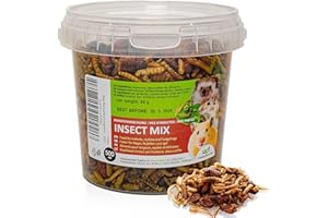 UGF UNDERGROUND FOOD UGF - Mélange pour Insectes - 80 g dans Un Seau de 500 ML, Nourriture pour hérissons, gerbilles, Hamsters, Rats, lézards - vers de Farine, Larves de Mouche Soldat Noire, vers à Soie