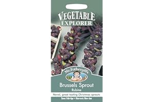 MR FOTHERGILLS Mr Fothergill?s Seeds Ltd 18200 Vegetable Seeds, Brussels Sprout Rubine