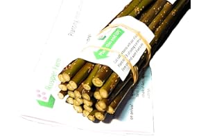 RUSPER FARM Living Willow Cuttings, Premium Quality, Setts Garden Hedge Screening Basketry Biomass, Very Fast Growing, Easy No-Dig Planting (25, 18inch / 45cm)