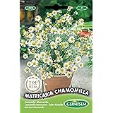 Germisem KAMILLE, mehrfarbig, EC1122