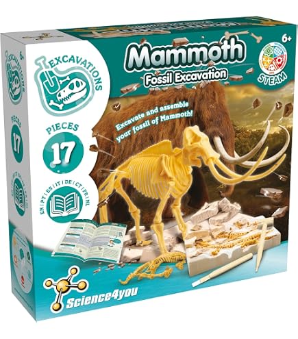Kit Fouille Dinosaure T-Rex - Jeu éducatif Excavation Fossile - Enfant 6+ Ans - Cadeau Archéologie