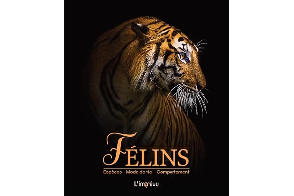 Félins: Espèces, mode de vie, comportement