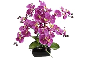 ‎FLAIR FLOWER Kunstblume Schmetterling Orchidee mit Blätter und Luftwurzeln in Schale aus Keramik Künstliche Blume Kunstorchidee Phalaenopsis mit Übertopf Kunstpflanze Hochzeit Deko Seidenblume Real Touch Blüte