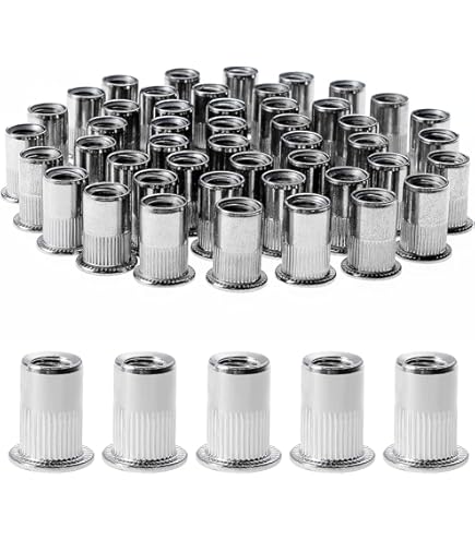 Dadi Per Rivetti In Acciaio Inox M6 - 100 Pezzi Con Scatola Per Montaggio Legno, Mobili E Auto