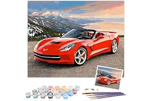 TAHEAT DIY Oil Painting by Numbers Kits, DIY Acrylic Painting Kits for Adults, Canvas Oil Painting by Numbers Home House Decor 40x50 cm - Red Sports Car without Frame