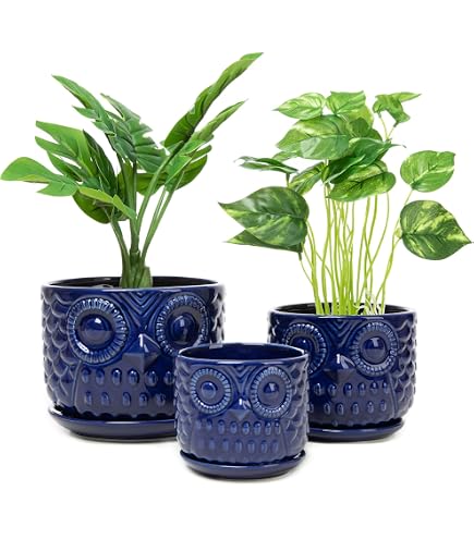 Vaso per piante e fiori in terracotta con foro di drenaggio | Italy Green Life