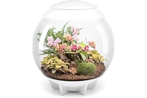 biOrb 46147 AIR 60 blanco, terrario automático para el cuidado cómodo de las plantas, acrílico
