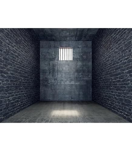 BELECO 9x6ft Fabric Dark Prison Cells Photography Backdrop Old Jail Bars Background For Police Theme Party Murder Mystery Party Halloween Prison Decorations Portrait Photoshoot Studio Props
