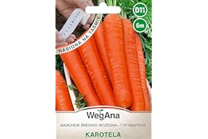 WegAna 6m Cinta de Semillas Zanahorias Carotela Semillas Zanahorias Nantaise Robustas Semillas de Hortalizas Semillas de Hortalizas Semillas de Cultivo Hierbas de Cocina Balcón & Jardín Especias
