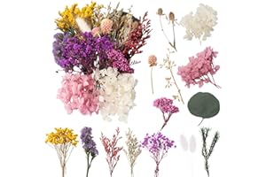LAUMOE Fleurs Séchées, Fleurs Sechees Naturelles Fleur Séchée pour Bougies Fleurs Sechees Fleurs Séchées Vrac Fleur Sechees Decoration pour Bricolage Résine Epoxyn Art DIY Artisanale Scrapbooking