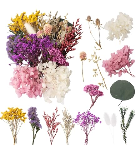 Fleurs Séchées Naturelles Tomedeks – Bouquet Décoratif – 50g, 19x12 Cm – Pour DIY, Cadres, Bougies, Décoration Florale