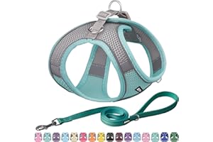 AIITLE Zestaw uprzęży i smyczy dla psa z miękkiej siatki do spacerów - szelki kamizelki, paski odblaskowe, regulowane artykuły dla zwierząt bez ciągnięcia, dla małych psów i kotów domowych, turkusowy, XS
