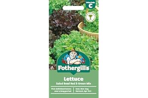 MR FOTHERGILLS Fothergill's Lettuce Salad Bowl Red & Green Mixed, Vegetable Seeds, 1000 Seeds, Sow: Mar-Aug