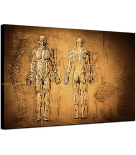 Brain with Flowers Wall Art, Modern Contemporary Wall Décor – DiviArts Studio