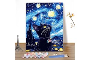 MEIYUDA Pintar por Numeros Adultos Gato negro, DIY Noche estrellada Pintura por Numeros Kit, Cuadros por Numeros Pigmento Acrílico, Decoración para el Hogar Regalo de pared 40x50cm(sin marco)