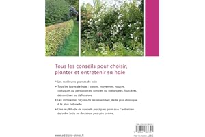 Quelle haie pour mon jardin ? Choix, plantation, entretien