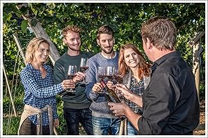 ‎JOCHEN SCHWEIZER JOCHEN SCHWEIZER Geschenkgutschein: Weinbergwanderung & Weinprobe Raum Heidelberg für 2