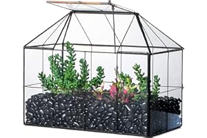 NCYP Maceta de terrario de Vidrio geométrico Negro con Tapa, Caja de Maceta con Forma de casa de Rejilla para suculentas Plantas de Cactus, decoración Moderna de Mesa (sin Plantas ni Accesorios)