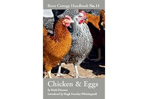 Chicken & Eggs: River Cottage Handbook No.11