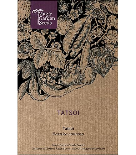 Graines Chou De Chine Pak-choi Green Fortune F1 - Brassica Campestris