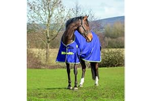 Asker 0g Horse Lightweight Standard Neck Turnout Rug - Navy Blue