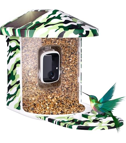 Nichoir Avec Caméra HD - Bois Massif, Flux Live, Protection Anti-prédateurs