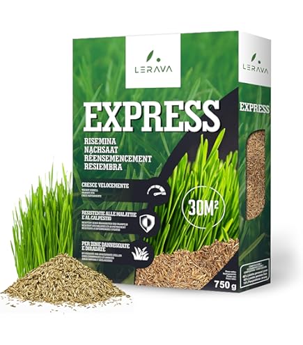 DCM Graszaad Plus Siergazon 1,5 kg zaden Tot 75 m²