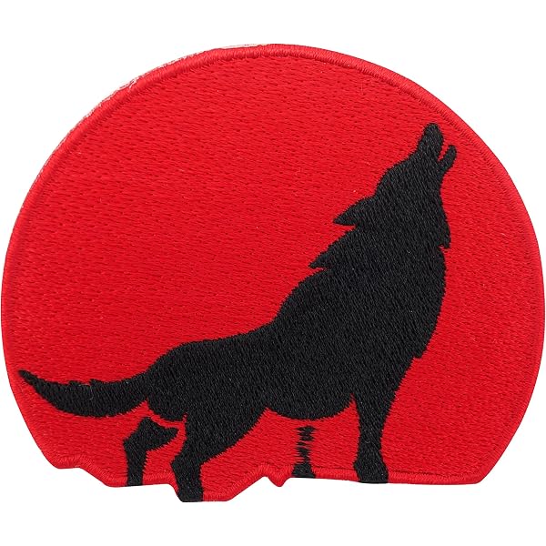 Patch Thermocollant Aigle Indien - 11x9 Cm Environ | Motif Native Us Usa Pour Moto, Vestes, Biker - 3