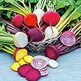 Suttons Beetroot Seeds Rainbow Mix, Vegetable Seed, Approx. 250 Seeds per Pack, Grow Your own, Ideal for Containers, Beds and Borders