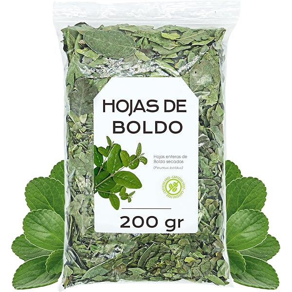 Té de boldo para el hígado y la digestión