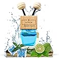 Vitalia Essentials AC Vent Car Air Freshener | Reed Diffuser Style | Strong Blend | Masks All Odours | Free Refills with all packs (JAZZ)