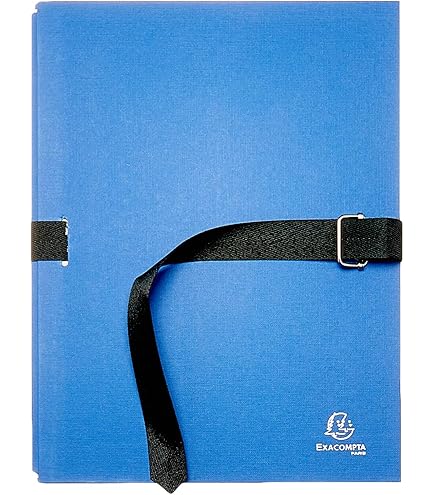 Chemise manches longues extensible bleue à rayures verticales – Le Roi