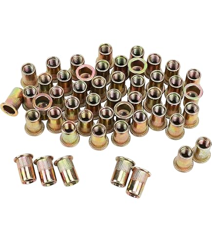 Lot De 100 écrous à Riveter M6 En Acier Carbone - Tête Plate, Filetés, Neufs
