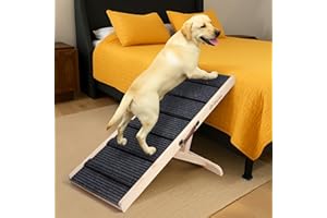 iPetba Rampa per Cane per Letto & Divano per Piccoli & Medi Cani – Rispetto per le Articolazioni, Antiscivolo, Regolabile, Senza Odori, Fino a 32 kg