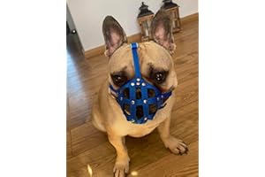 L&J Pets Uk Bozal de perro para bulldog francés, otros hocicos similares de hocico corto (FB0, azul)