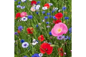 EFA International, Wildflower Seeds UK, Meadowmax Paradise for Pollinators, UK Native Wildflower Seed, Wild Flowers Seeds UK, Attract Bees and Butterflies (4 Grams)