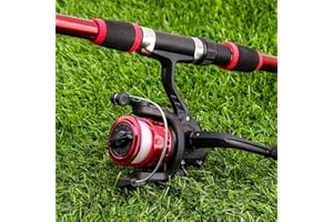 TISSTING Moulinet de Pêche à Roue Rotative de Type 200 5.1: 1 Rapport de Vitesse Léger et Puissant Moulinet de Pêche en Coupe de Ligne de Placage Adapté Aux Cannes à Pêche en Mer Courte et Pêche en Lac