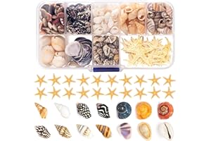 WANWANZI 9 tipos de pequeñas conchas marinas – 300 unidades + conchas de mar, caracoles de mar, estrellas de mar – conchas para decoración de manualidades, mosaicos, manualidades, decoración del hogar,