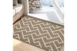 ‎BISCPRO Biscpro Fußmatte Innen, Wasserdicht Türmatte Schmutzfangmatte rutschfest Fussmatte Innen (Beige, 60 x 90 cm)