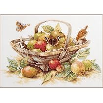 Kit Point De Croix Compté ‘Le Regard Parfait’ – Taille 58x73 Cm, Tout Inclus (toile, Fils DMC, Aiguille, Instructions) - 6
