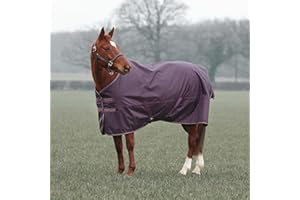 Shires Typhoon 100 Turnout Rug - Black Cherry